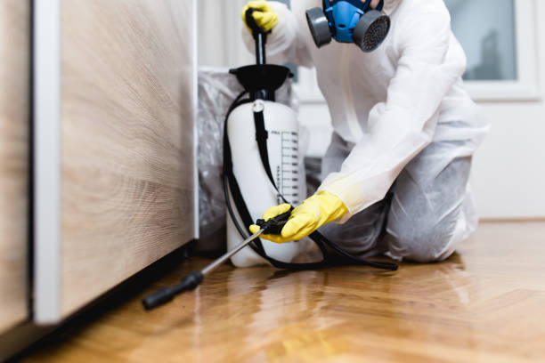 Best Pest Removal Services  in Melville, RI