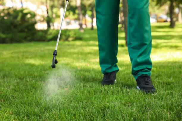 Best Ant Control Services  in Melville, RI