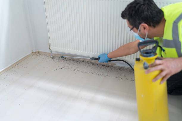Best Pest Prevention Services  in Melville, RI